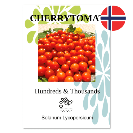 Tomat – Cherry ”Hundreds & thousands“