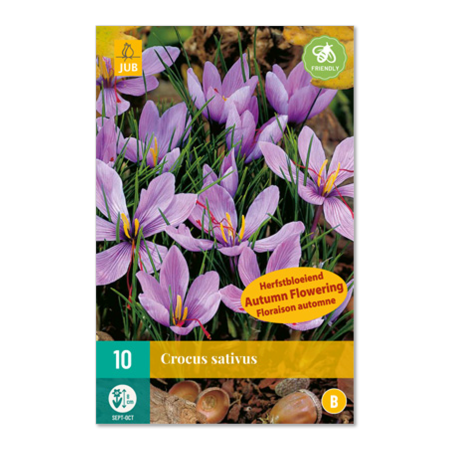 Safrankrokus "sativus" – (10 stk setteløk)