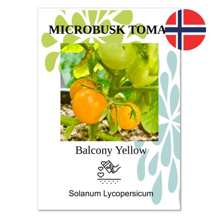 Tomat - "Microbusk Balcony yellow”
