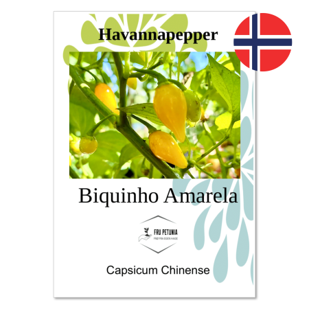 Havannapepper - "Biquinho Amarela"