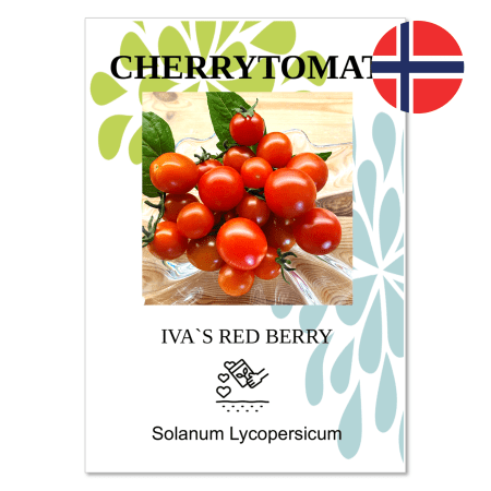 Tomat – Cherry  ”Iva`s red berry“