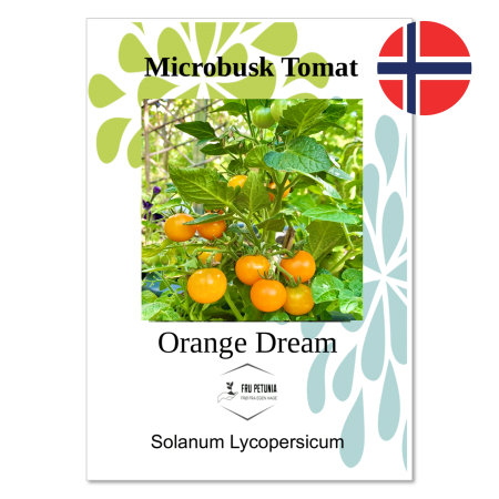 Mikrobusktomat - "Orange dream"