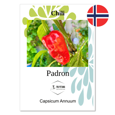 Chili - "Padron"