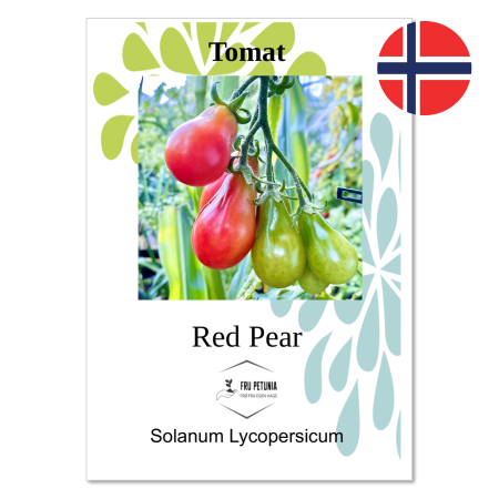 Tomat - "Red pear"