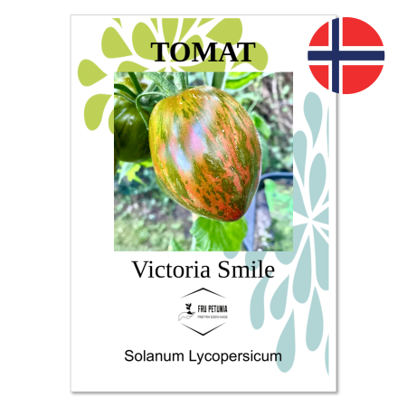 Tomat - "Victoria smile"