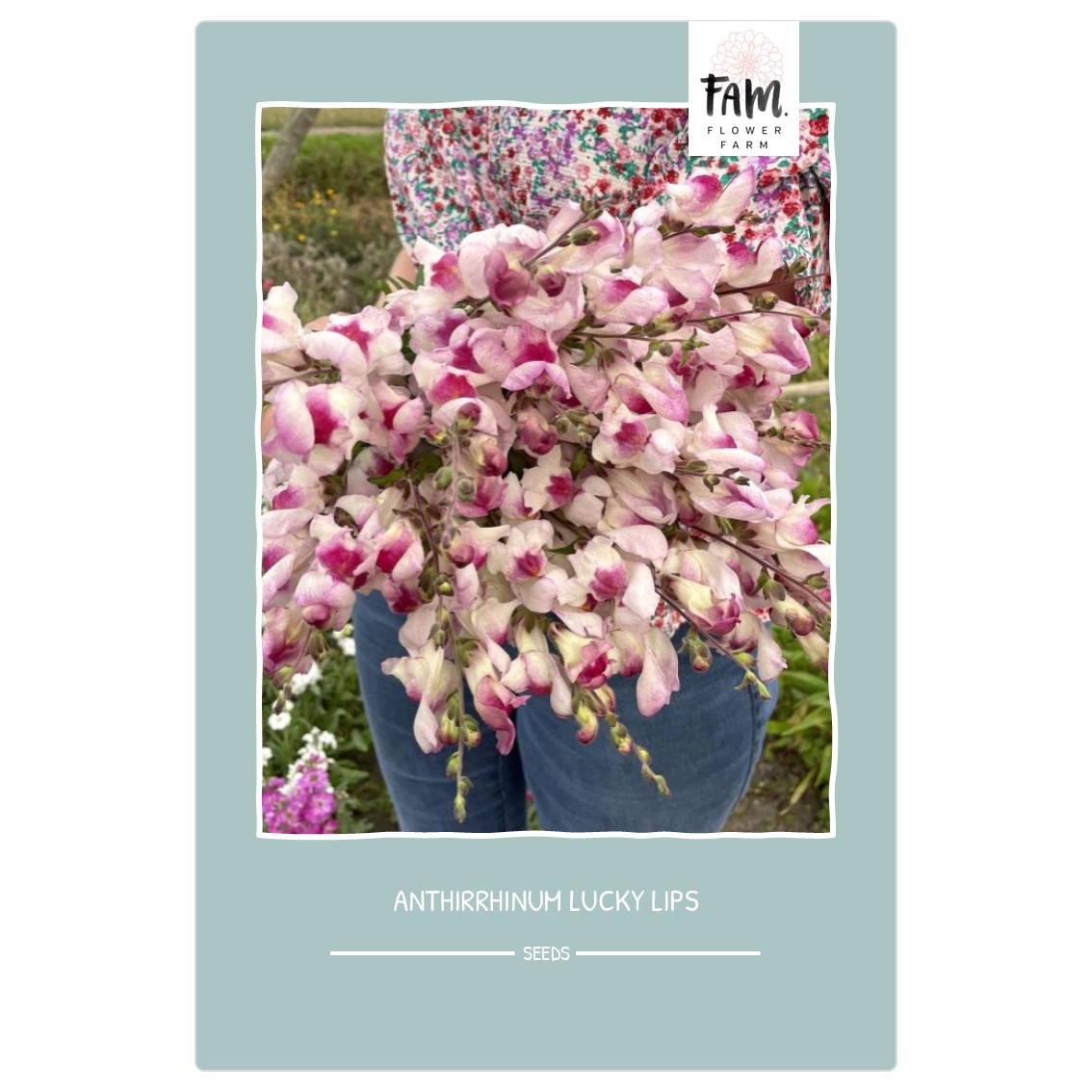 ANTIRRHINUM LUCKY LIPS – SPISELIGHAGE.NO | Norsk nettbutikk